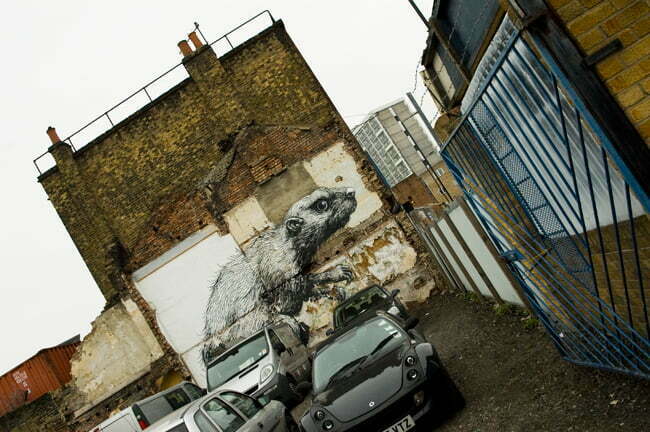 rat in me car park Posted on 10 March 2011 by Sarah Deane