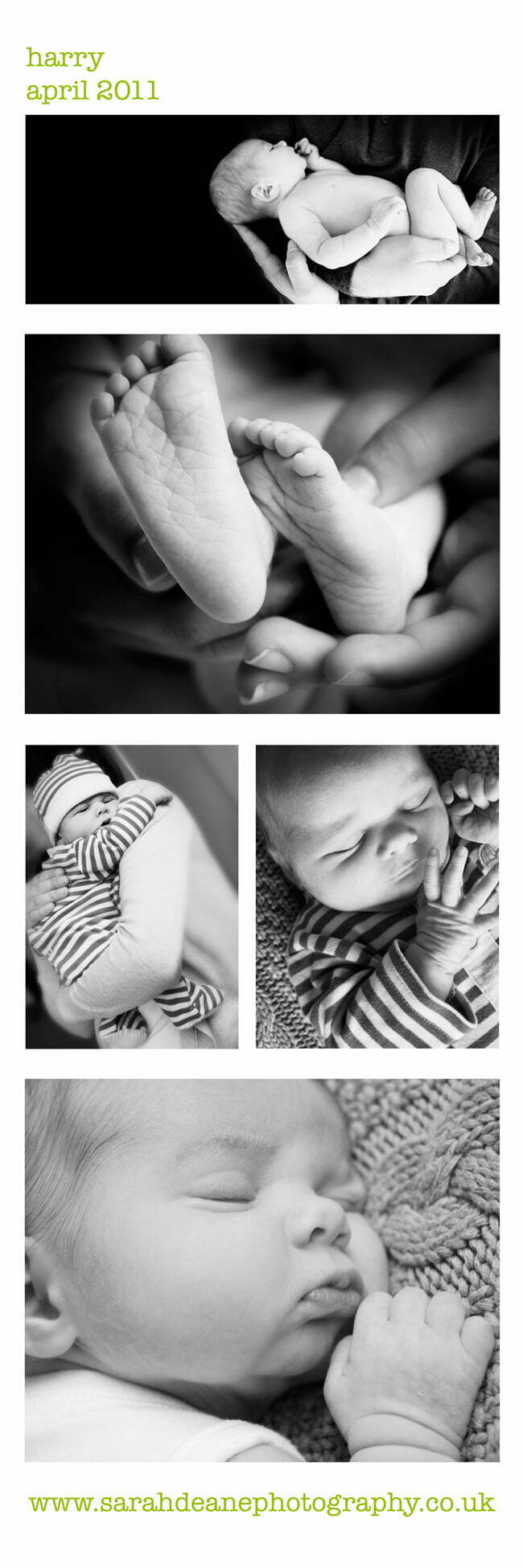 Baby Portraits-2