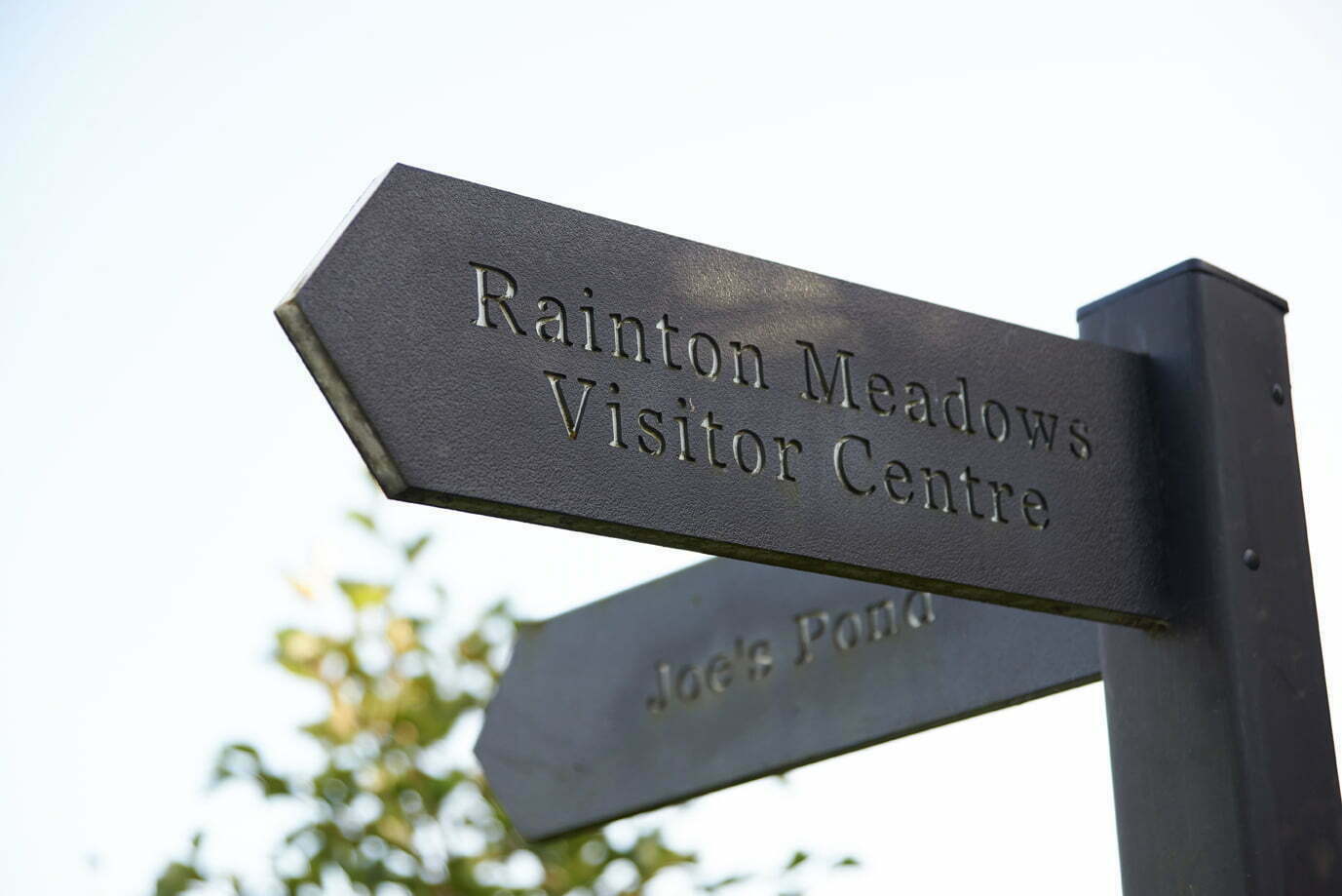 Rainton Meadows, Durham Wildlife Trust 081
