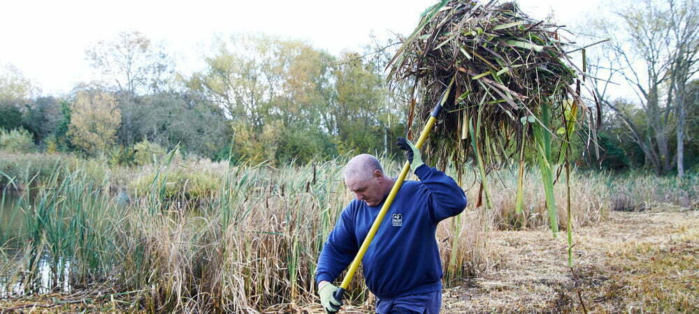 Rainton Meadows, Durham Wildlife Trust 097