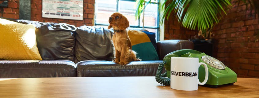 Interior Design Photography of Silverbean Agency's office in Newcastle upon Tyne 4